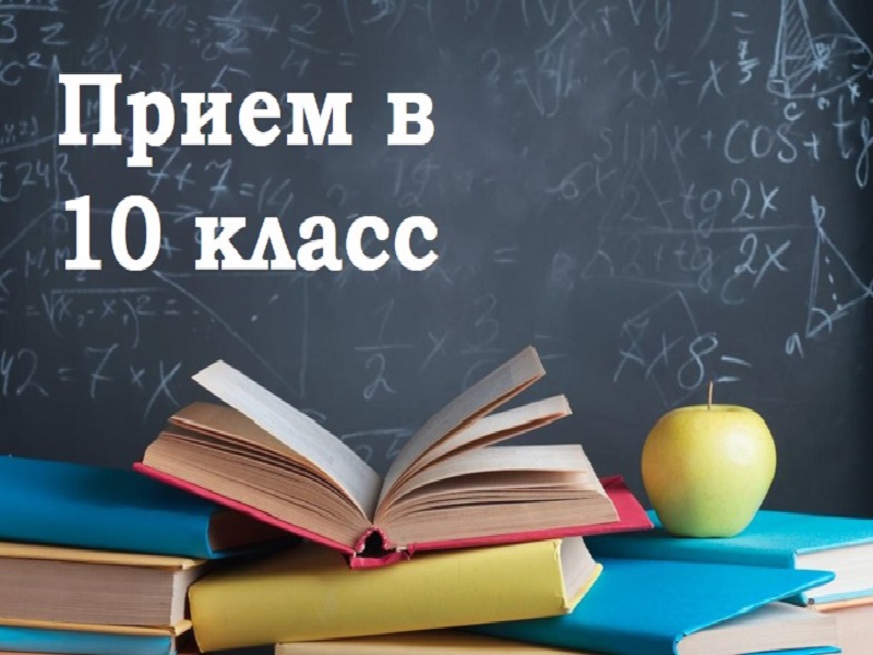 Информация о результатах индивидуального отбора в 10 классы.